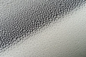 Car Wax vs Paint Sealant: Which Should You Use for Your Car?