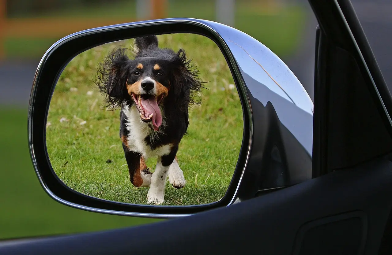 When you can and cannot drive away after buying a car