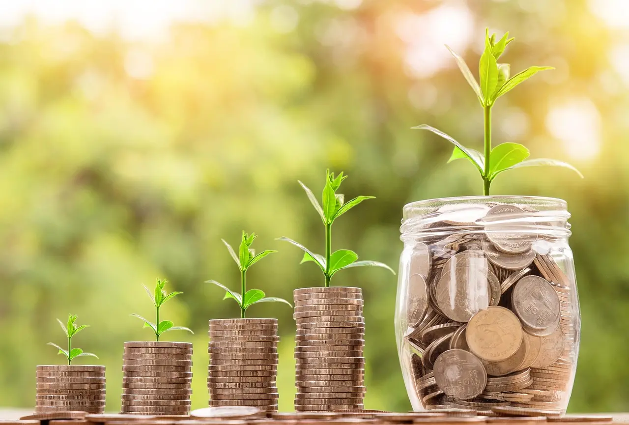 Price, trims, and value: where the money goes