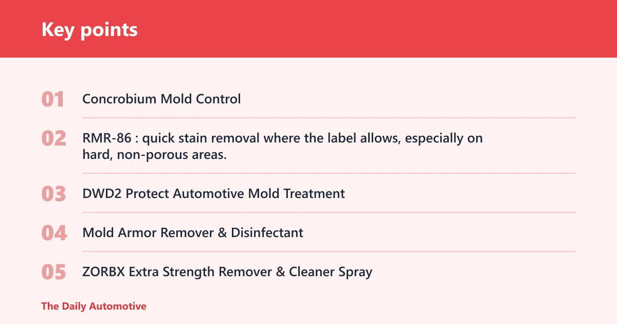 Key points: Mold cleaner for cars: top pick and quick picks