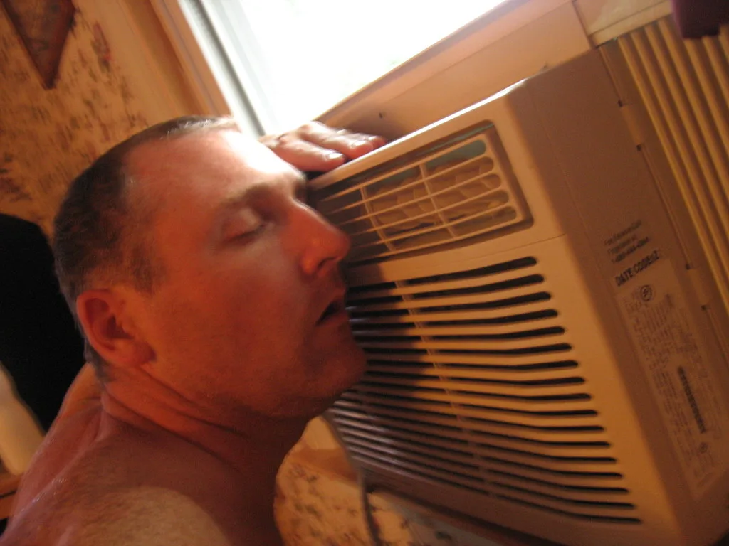 Car owner checks an R-1234yf recharge kit beside an open hood in natural daylight.