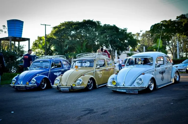 Car enthusiasts chatting beside parked vehicles at a weekend meetup in natural light