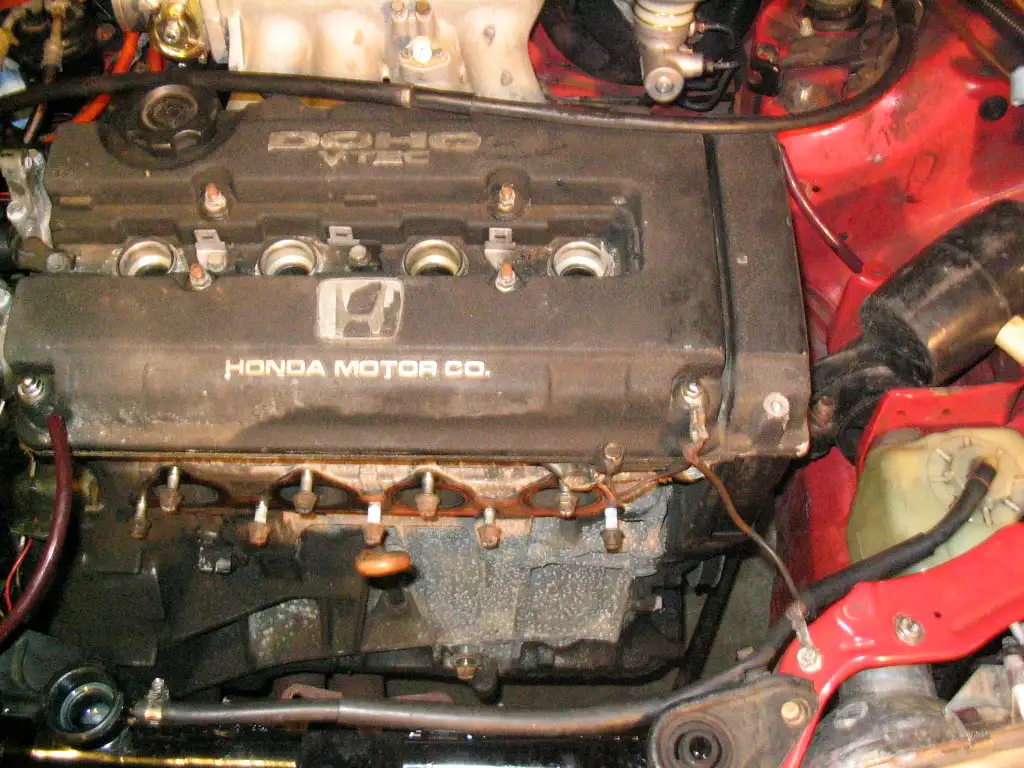 Honda Civic owner checks the coolant reservoir with the hood open in daylight