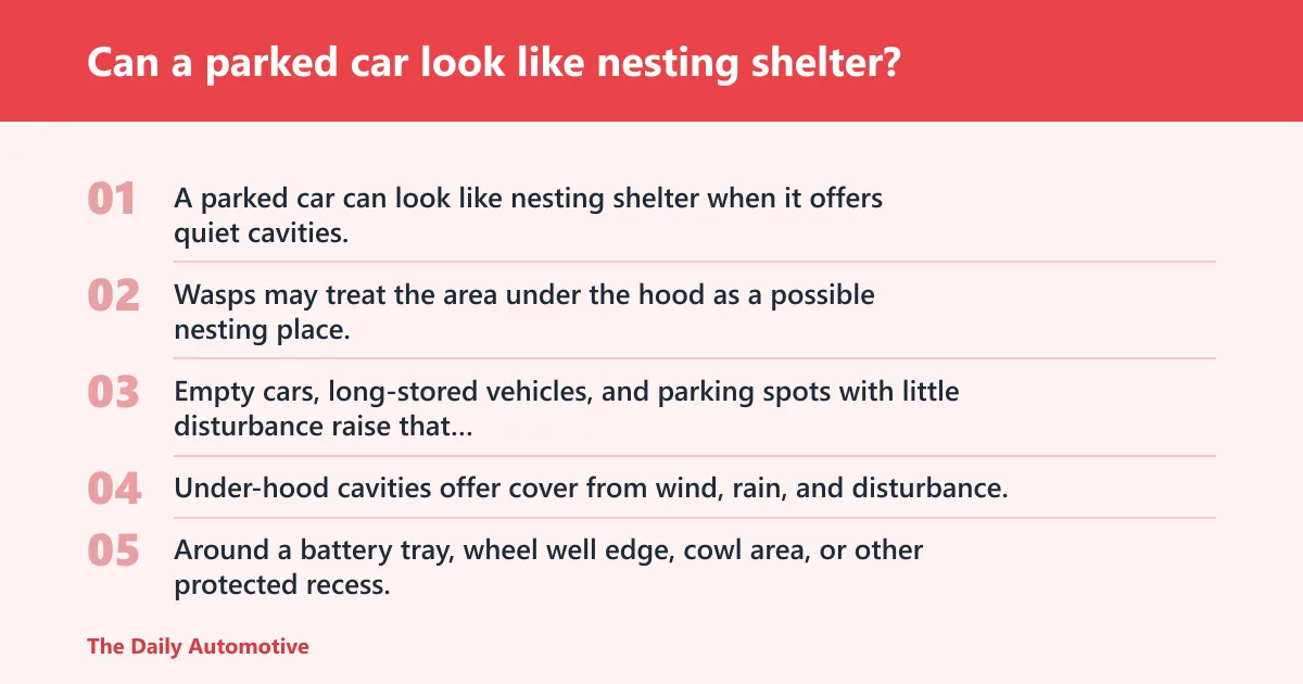 Steps: Can a parked car look like nesting shelter?