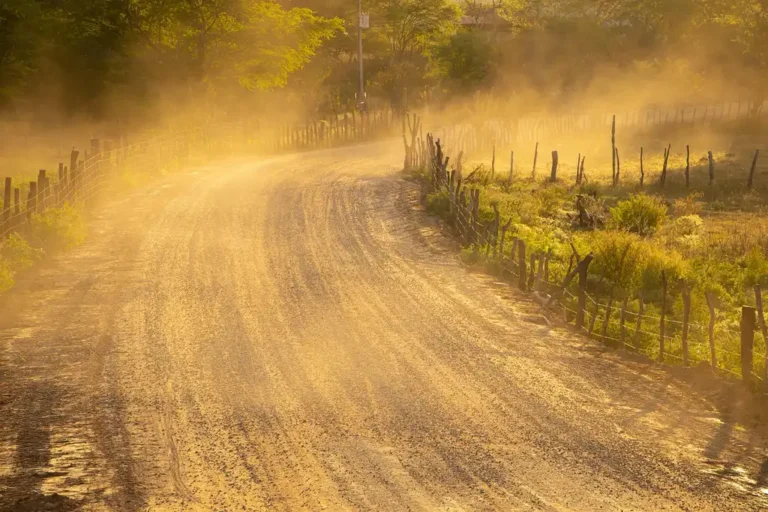 Rolled sedan on a dusty road with a driver standing nearby and dust in the air