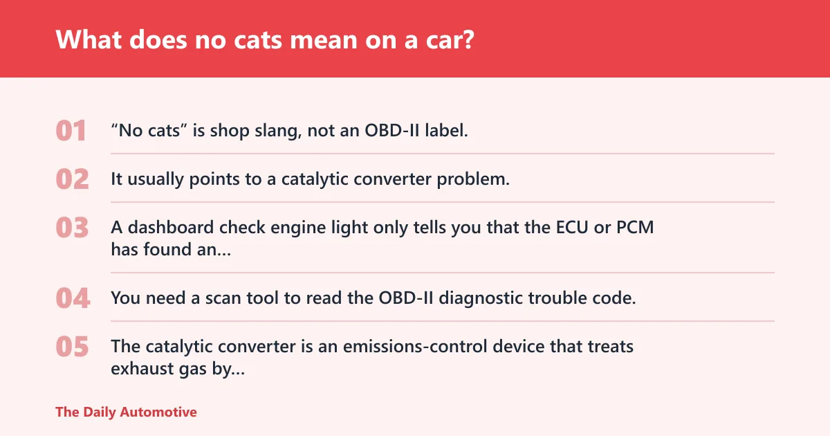 Steps: What does no cats mean on a car?