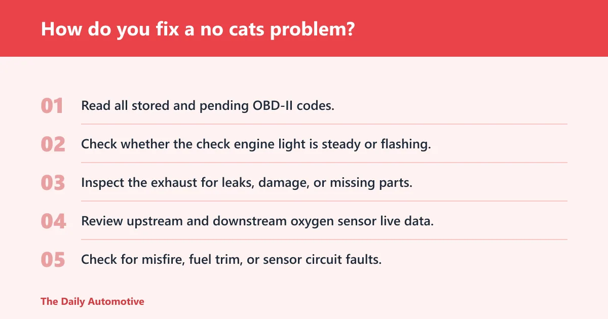 Steps: How do you fix a no cats problem?