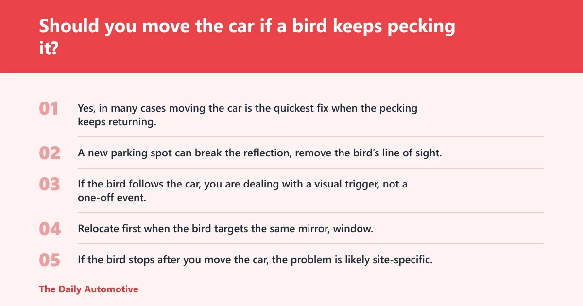 Steps: Should you move the car if a bird keeps pecking it?