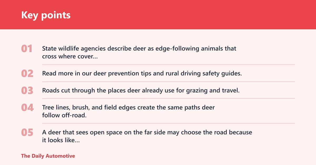Key points: Why do deer run in front of cars?