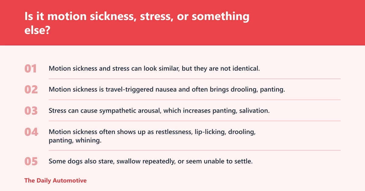 Steps: Is it motion sickness, stress, or something else?